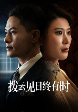 拨云见日终有时(30集) 拨云见日终有时(30集)追短剧关注我