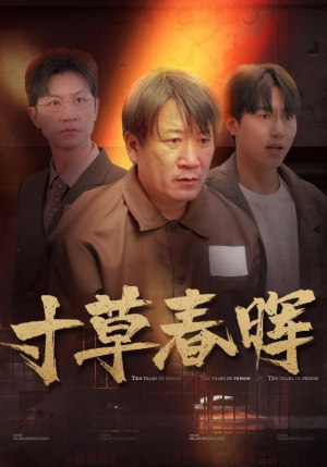 寸草春晖(31集) 寸草春晖(31集)短剧小说在线看