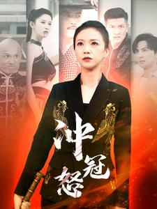 冲冠怒(93集) 冲冠怒(93集)短剧免费看