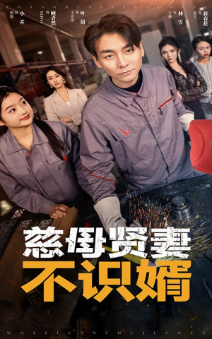 慈母贤妻不识婿(45集) 慈母贤妻不识婿(45集)哪个网站可以看