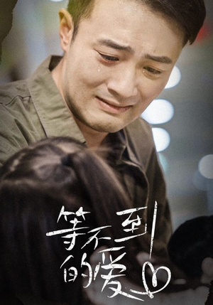 等不到的爱(40集) 等不到的爱(40集)迅雷网盘观看