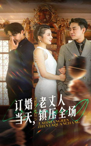 订婚当天,老丈人镇压全场(29集) 订婚当天,老丈人镇压全场(29集)免费观看就是爽