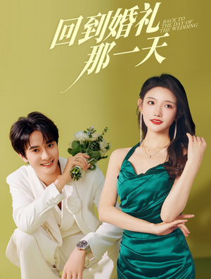 回到婚礼那一天(88集) 回到婚礼那一天(88集)全剧免费观看
