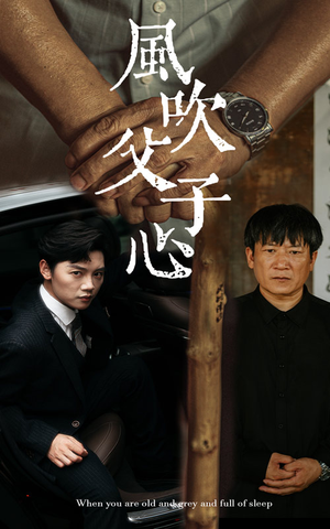 风吹父子心(65集) 风吹父子心(65集)精彩短剧推荐