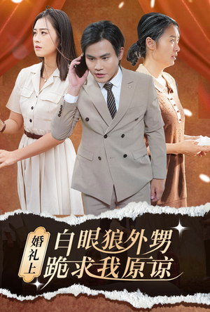 婚礼上白眼狼外甥跪求我原谅(35集) 婚礼上白眼狼外甥跪求我原谅(35集)热门短剧推荐