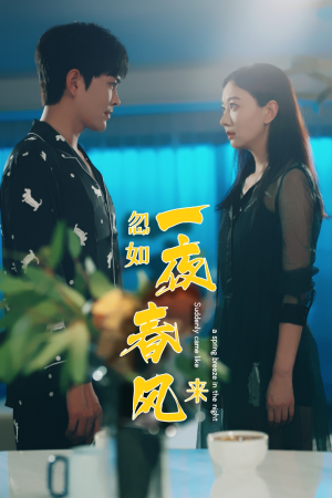 忽如一夜春风来(28集) 忽如一夜春风来(28集)一口气看完全集