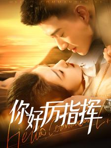 你好厉指挥(100集) 你好厉指挥(100集)精彩不断免费看