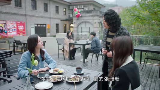 婚姻攻略(16集) 婚姻攻略(16集)热播短剧排行榜