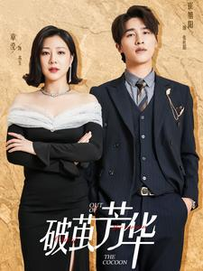 破茧芳华(80集) 破茧芳华(80集)精彩短剧后续