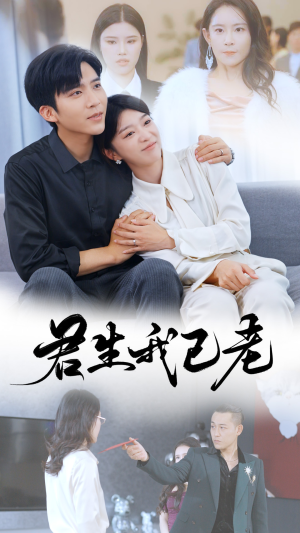 君生我已老(61集) 君生我已老(61集)演的怎么样