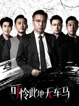 可怜此地无车马(30集) 可怜此地无车马(30集)我全都看完了