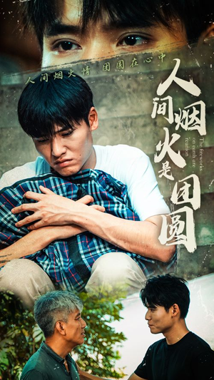 人间烟火是团圆(88集) 人间烟火是团圆(88集)短剧太好看了