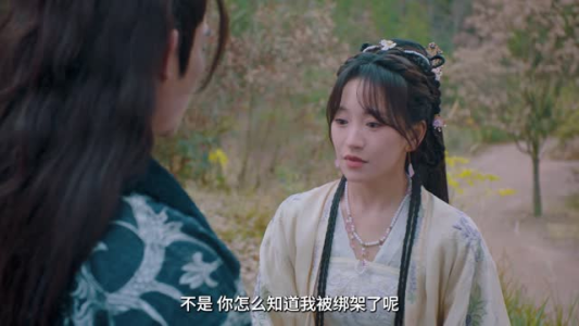 如意(20集) 如意(20集)演员表