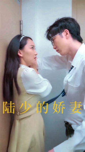 陆少的娇妻(100集) 陆少的娇妻(100集)无需会员轻松看