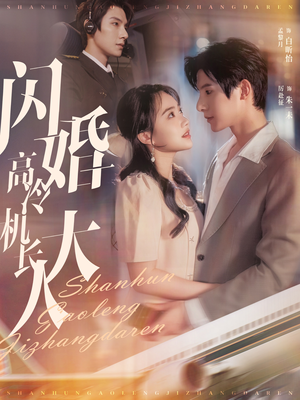 机长先生,听我指挥(92集) 机长先生,听我指挥(92集)观看软件