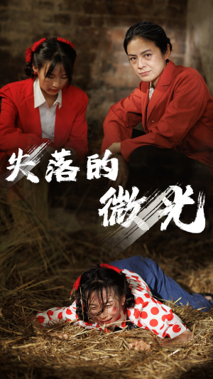 失落的微光(60集) 失落的微光(60集)热门短剧排行榜