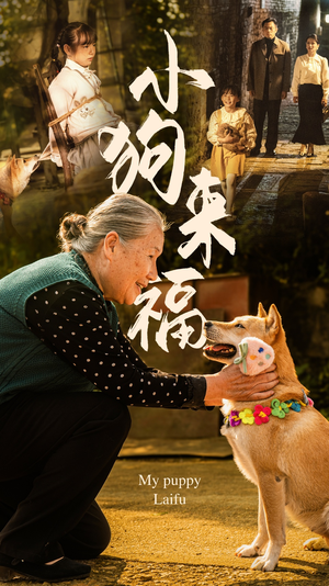 小狗来福(30集) 小狗来福(30集)视频在线看