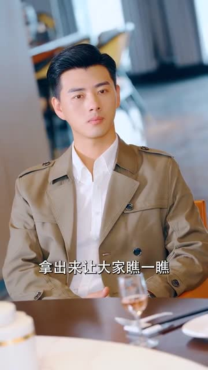 杏林逸韵(100集) 杏林逸韵(100集)最热门短剧来了