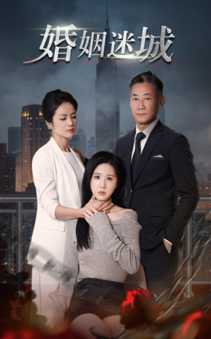 新:婚姻迷城(60集) 新:婚姻迷城(60集)最新上映免费看