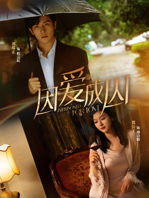 因爱成囚(30集) 因爱成囚(30集)在线观看