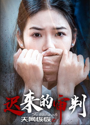 天网恢恢之迟来的审判(31集) 天网恢恢之迟来的审判(31集)无需充值尽情看