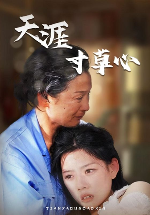 天涯寸草心(76集) 天涯寸草心(76集)大结局完美收官