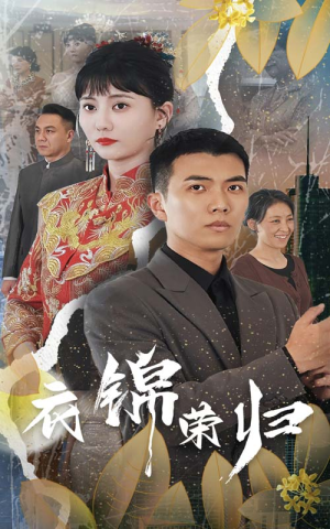 衣锦荣归(81集) 衣锦荣归(81集)短剧太好看了