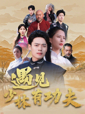 遇见少林有功夫(36集) 遇见少林有功夫(36集)一口气看完全集