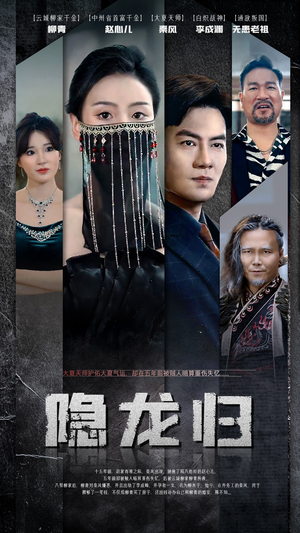隐龙归(80集) 隐龙归(80集)好看到停不下来