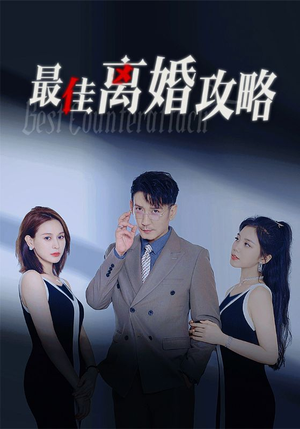 最佳离婚攻略(31集) 最佳离婚攻略(31集)哪个网站可以看