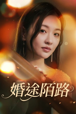 婚途陌路(15集) 婚途陌路(15集)全网独播免费看