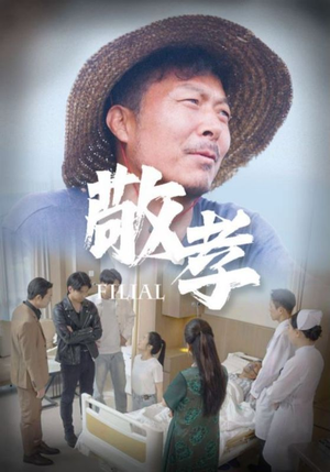 敬孝(61集) 敬孝(61集)夸克网盘在线看