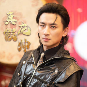 真假龙帅(81集) 真假龙帅(81集)番茄短剧看全集