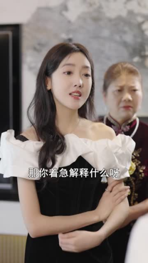 哑女的复仇(28集) 哑女的复仇(28集)在线观看