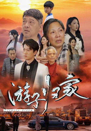 游子归家(88集) 游子归家(88集)一个短剧看全集