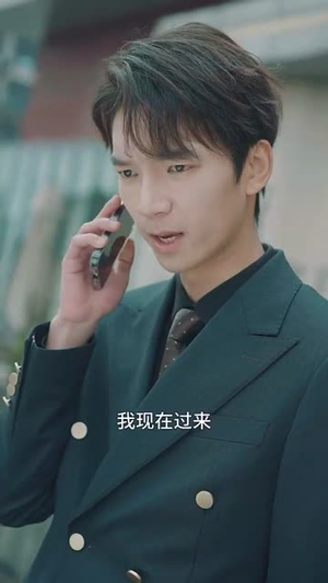 乡村卧龙(88集) 乡村卧龙(88集)好看的短剧分享