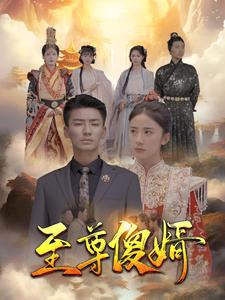 至尊傻婿(82集) 至尊傻婿(82集)女主谁演的