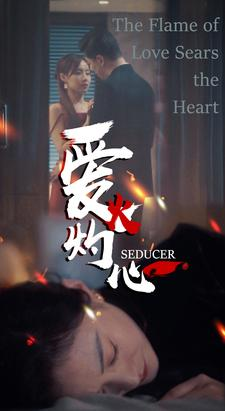 爱火灼心(99集) 爱火灼心(99集)短剧有好货推荐