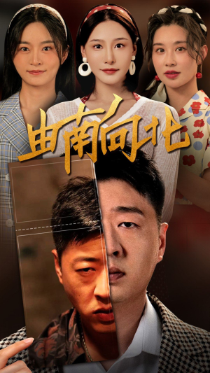 由南向北(88集) 由南向北(88集)视频在线看