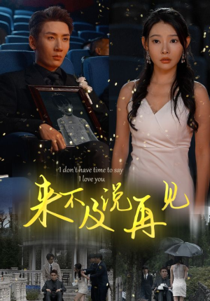 来不及说再见(30集) 来不及说再见(30集)评价怎么样