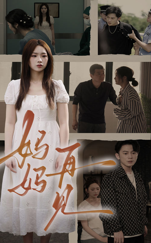 妈妈,再见(28集) 妈妈,再见(28集)解说