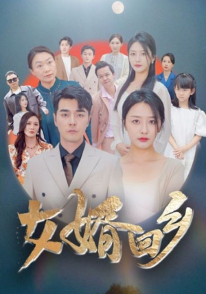女婿回乡(120集) 女婿回乡(120集)西瓜短剧免费看