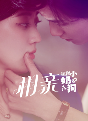 相亲遇到小奶狗(80集) 相亲遇到小奶狗(80集)短剧也太好看了