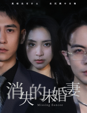 消失的未婚妻(82集) 消失的未婚妻(82集)精彩不断免费看