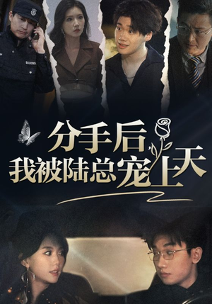 分手后,我被陆总宠上天(76集) 分手后,我被陆总宠上天(76集)解说文案