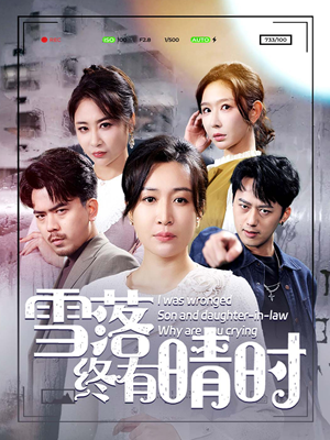 雪落终有晴时(80集) 雪落终有晴时(80集)完整版