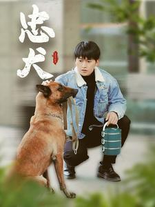 忠犬(34集) 忠犬(34集)短剧太好看了吧