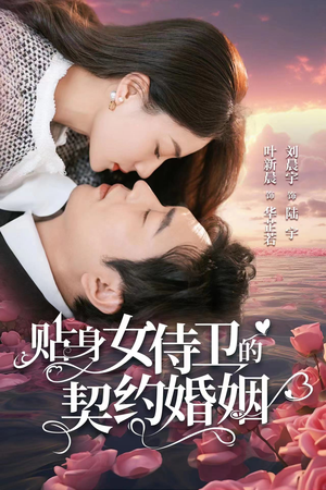 贴身女侍卫的契约婚姻(91集) 贴身女侍卫的契约婚姻(91集)短剧全集免费看
