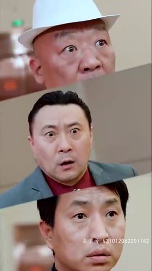 踏雪(96集) 踏雪(96集)免费短剧大全