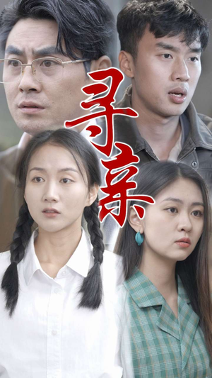 寻亲(35集) 寻亲(35集)视频在线看